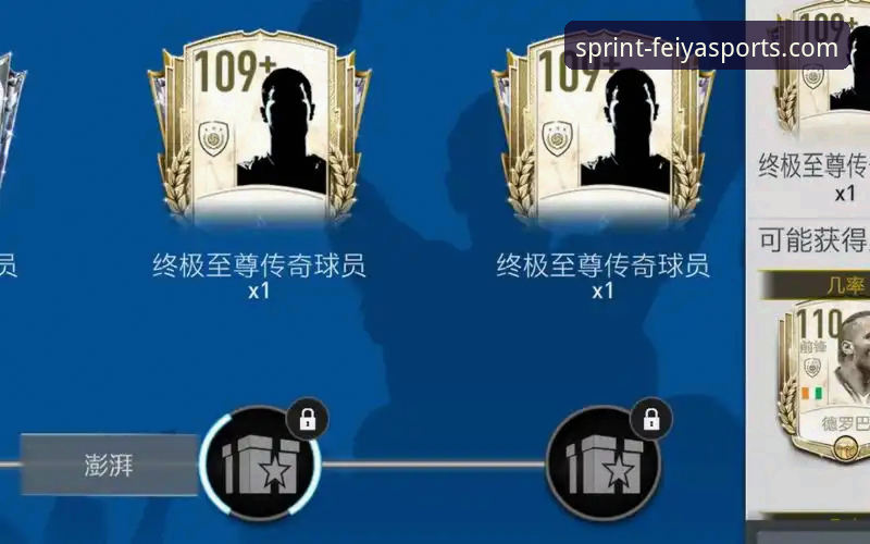 飞亚体育最新网址 飞亚体育平台最新入口详解与操作指南